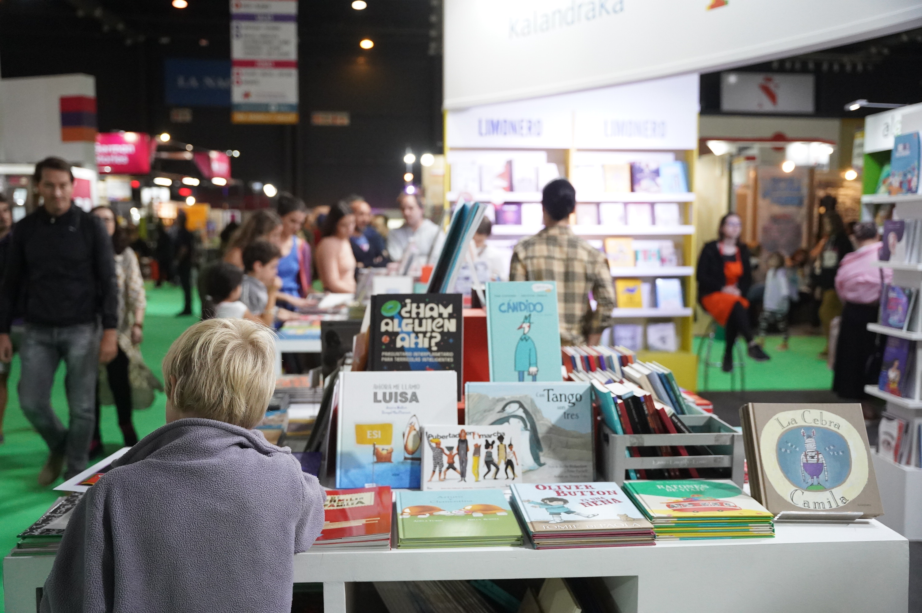 El Gobierno eximi&oacute; de impuestos a libros extranjeros destinados a la Feria del Libro