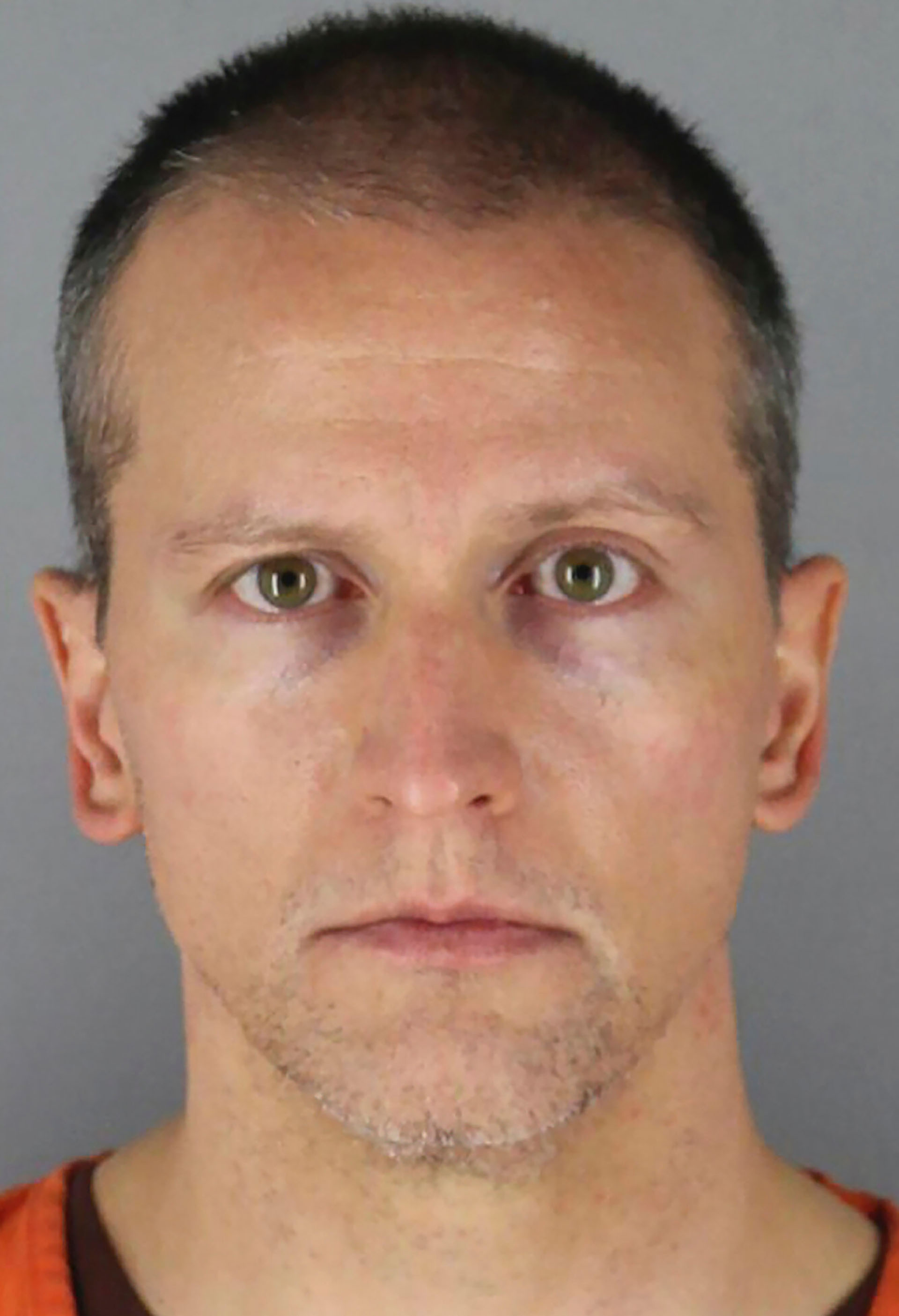 Derek Chauvin (Hennepin County Sheriff's Office, via Associated Press)
