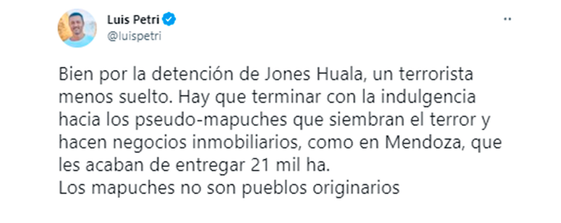 Luis Petri, ex diputado nacional por Mendoza, celebró la captura de Jones Huala pero criticó duramente la entrega de tierras a comunidades mapuches de Mendoza. 