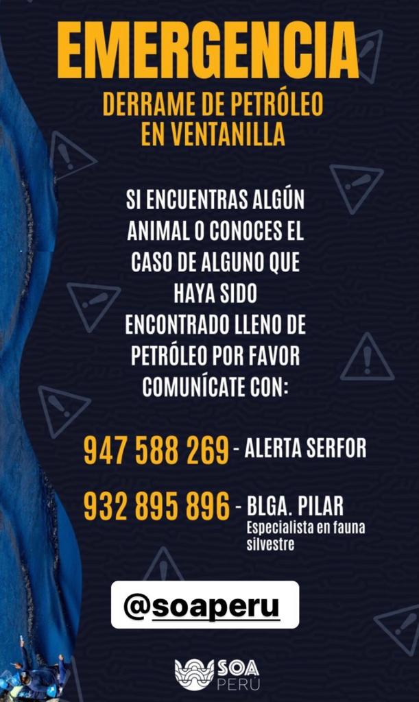 Los rescatistas que encuentren animales silvestres deben de comunicarse a los número de Serfor de la imagen. (Foto: Captura @soaperu)