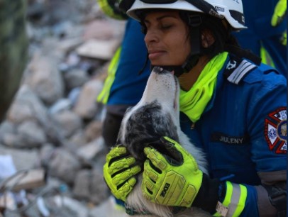 Balam, un perro de rescate, localizó a una persona con vida en Turquía (Archivo)