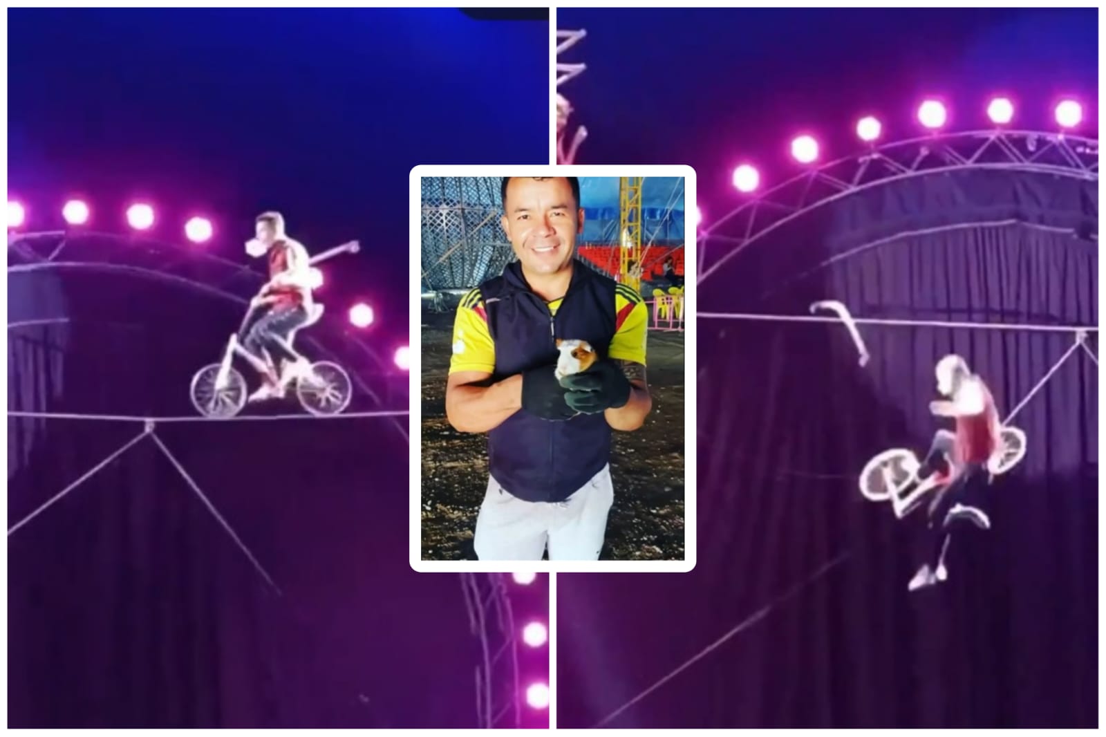 P&aacute;nico en un circo de Rusia: un tigre salt&oacute; hacia el p&uacute;blico durante un espect&aacute;culo