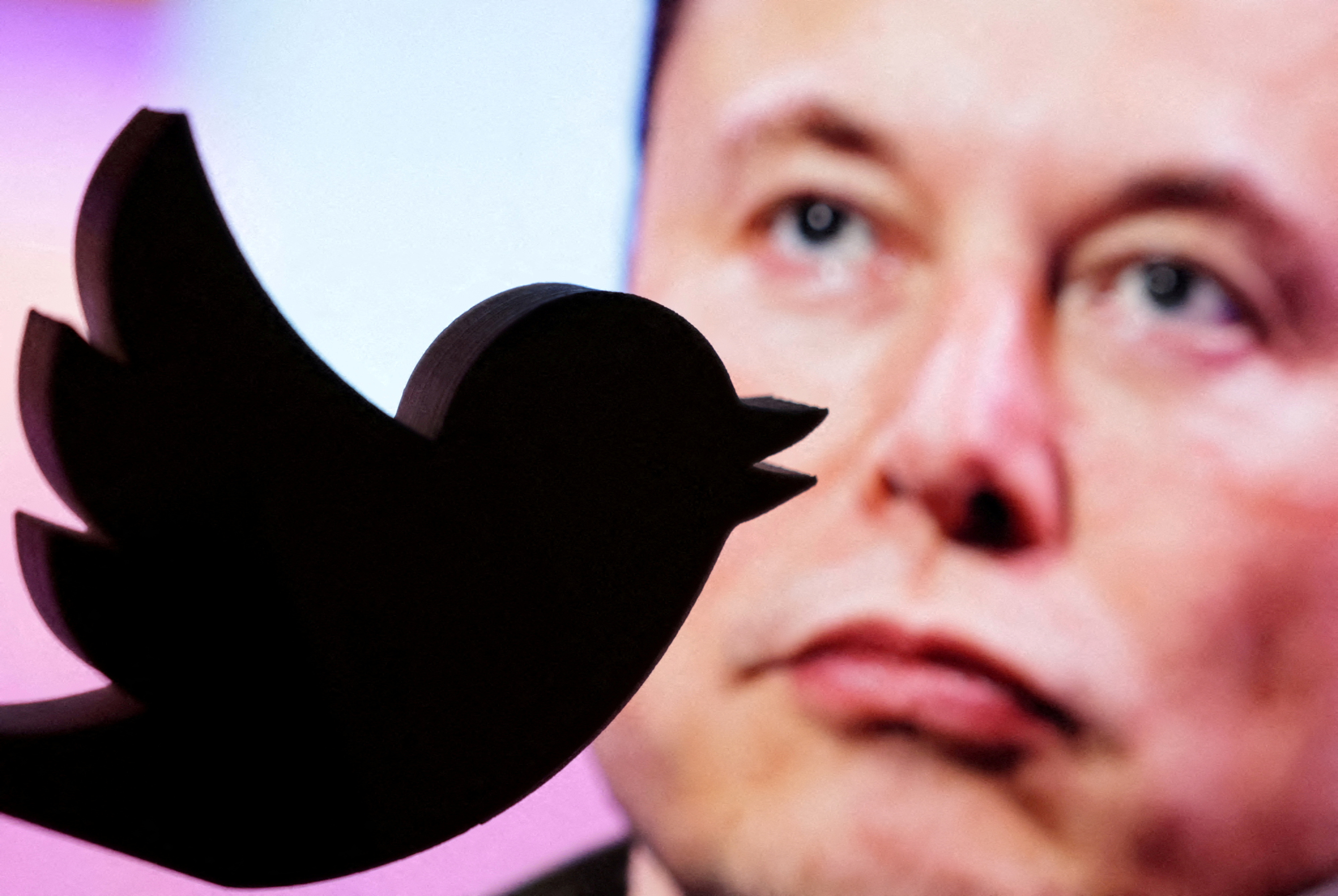 Esta aseveración se da un día después de que el nuevo Director General de Twitter, Elon Musk, afirmara que expondría cómo Twitter se involucró en la “supresión de la libertad de expresión” en el período previo a las elecciones de 2020. (REUTERS)