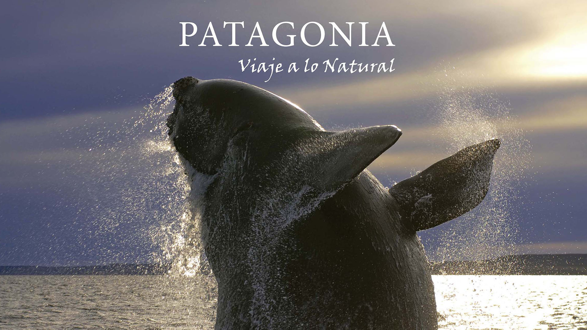 "Patagonia: viaje a lo natural", de Andrés Bonetti