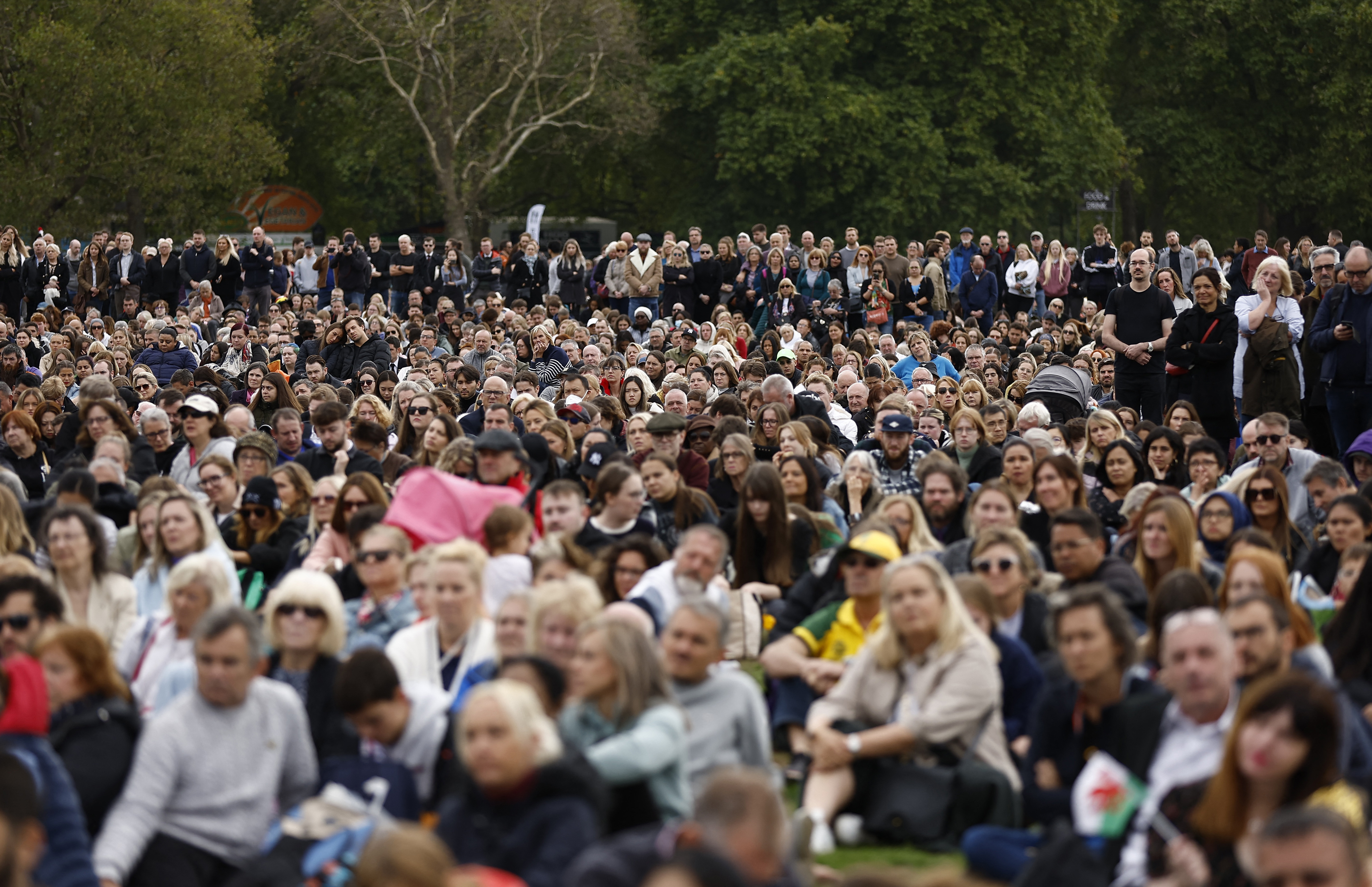 Una multitud mira el servicio en pantallas instaladas en Hyde Park, en Londres (Reuters)