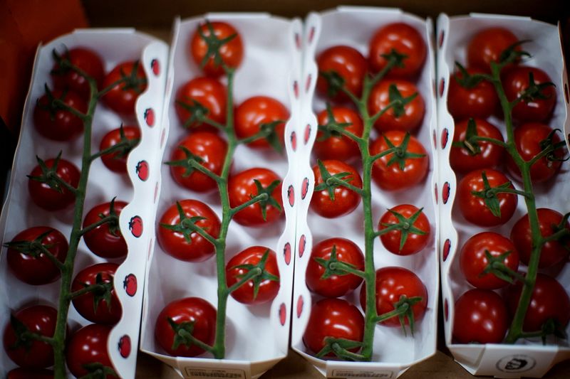 Para hacer la salsa, Fernando Trocca cocina los tomates enteros en el horno a fuego máximo hasta que se tuestan. Luego, los licúa (REUTERS)