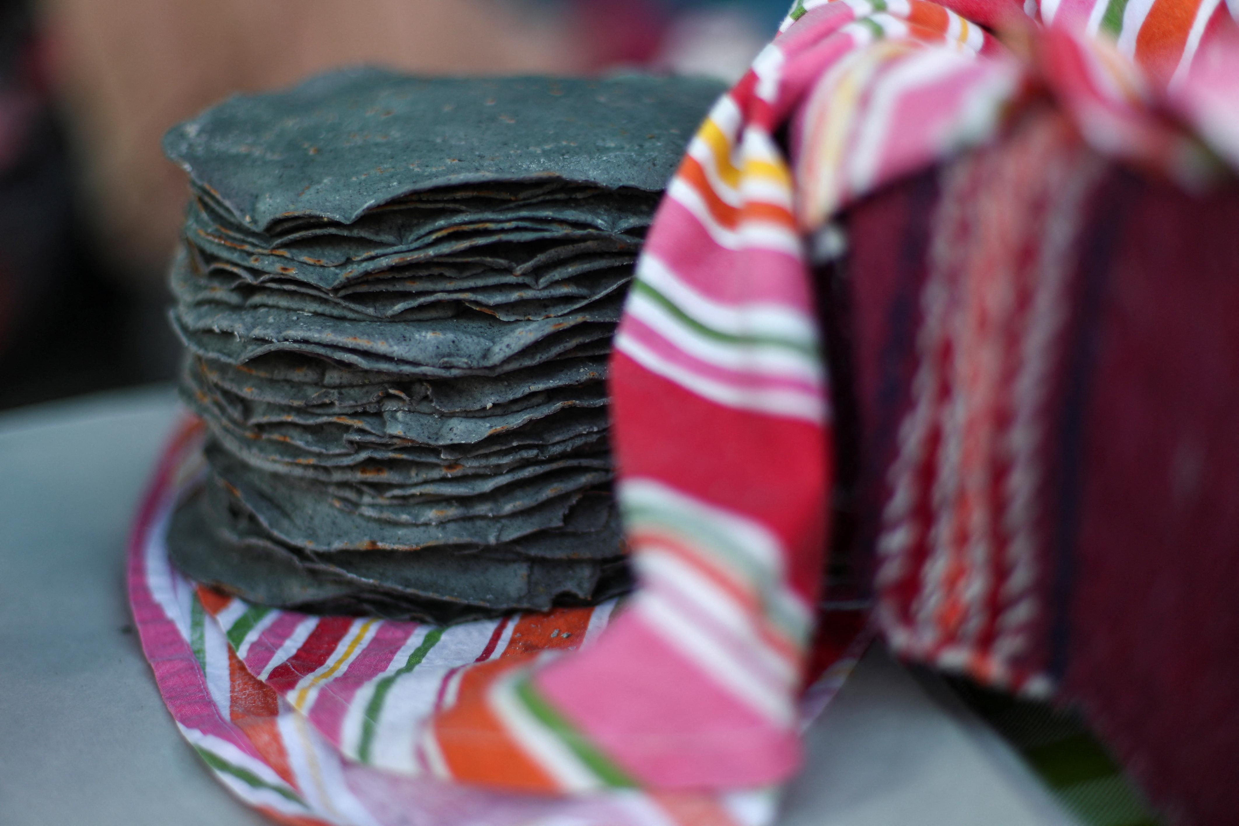 They detected “pirate” tortillas in Durango, Coahuila and Sinaloa: how to identify them