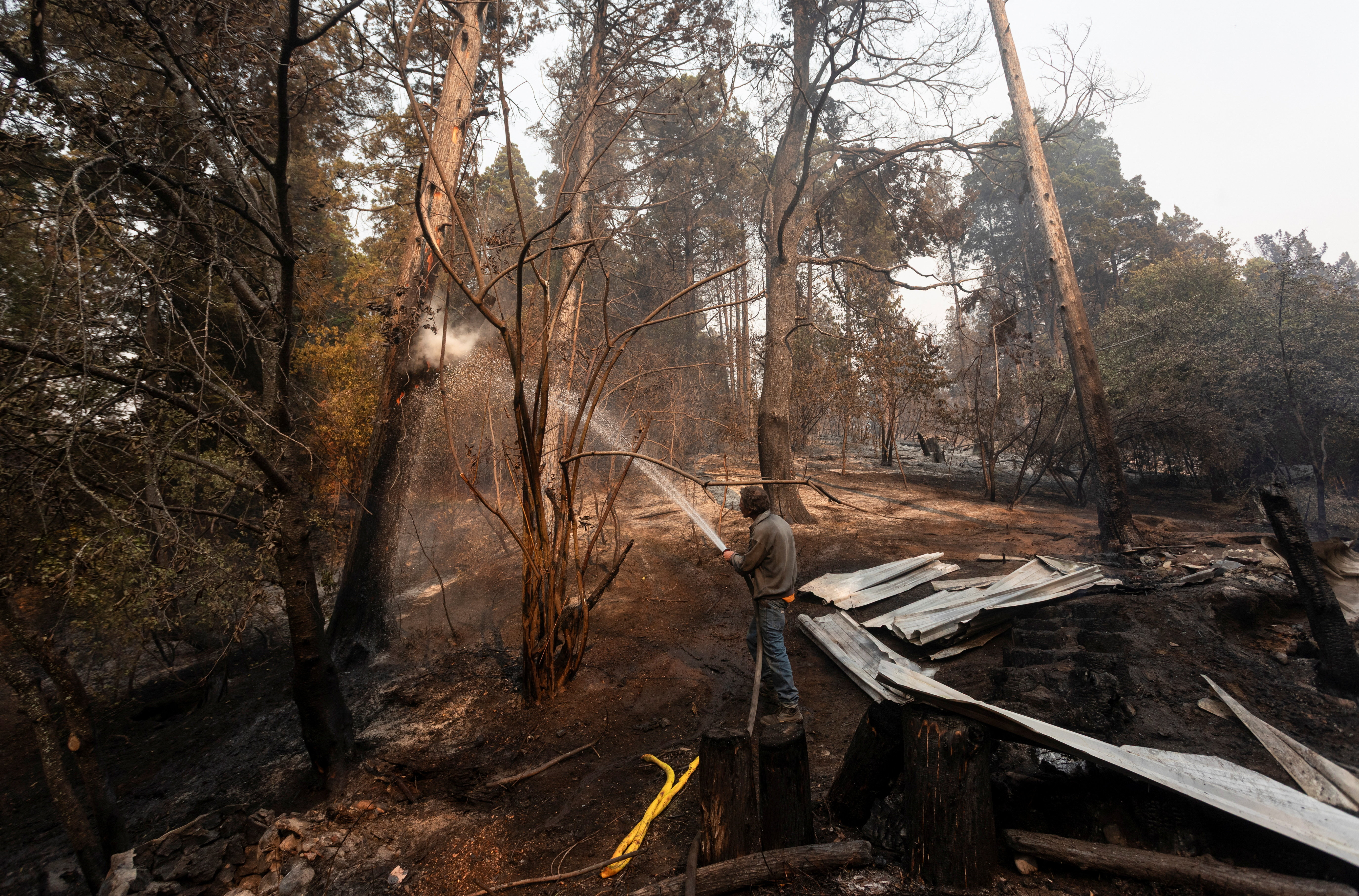 Tras el salto de la inflación, el Banco Central aceleró la compra de dólares y el Tesoro subió las tasas en pesos