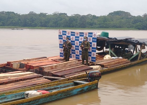 Armada Nacional Incautó 427 Metros Cúbicos De Madera Ilegal En Los últimos Tres Días Infobae