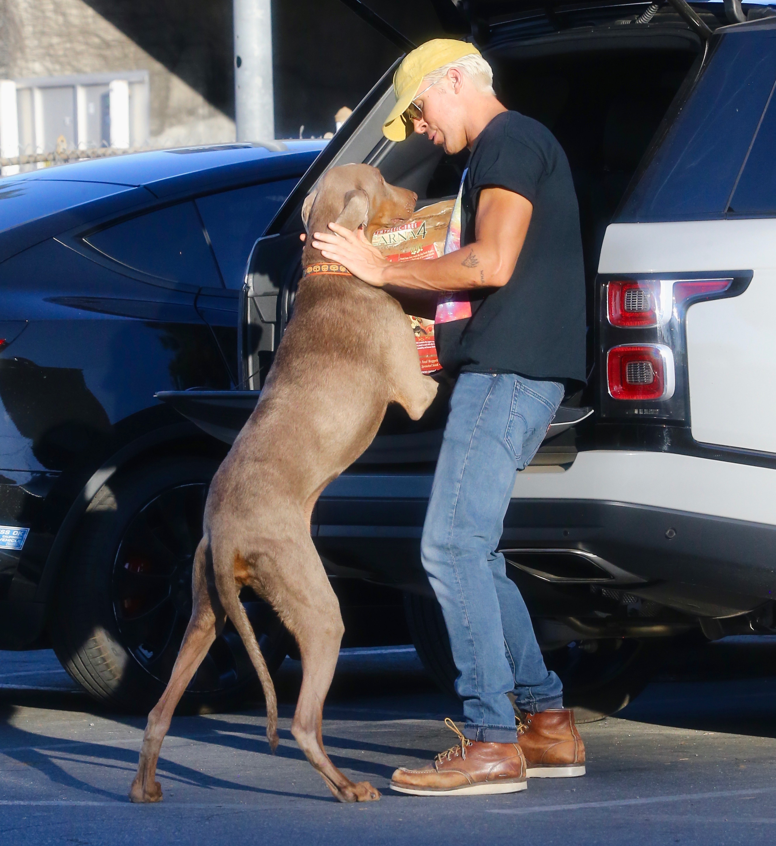 Ryan Gosling took his dog for a walk during a day off from filming the Barbie movie.  The actor was photographed when he got his pet Lucho out of his truck in the parking lot of a shopping center, where he went to buy food from a veterinarian