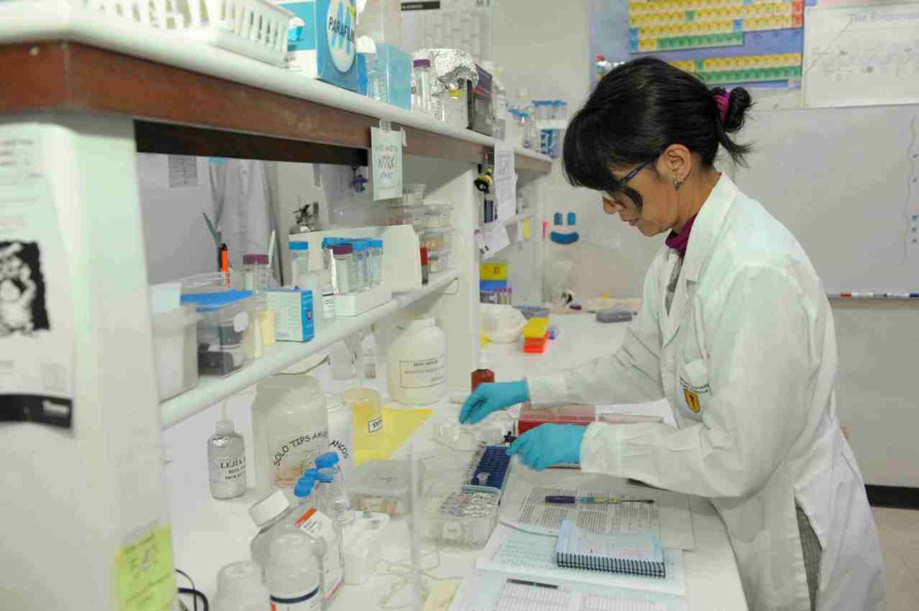 “Peru con Ciencia” started its activities during 2019 in Trujillo.  (Andean)