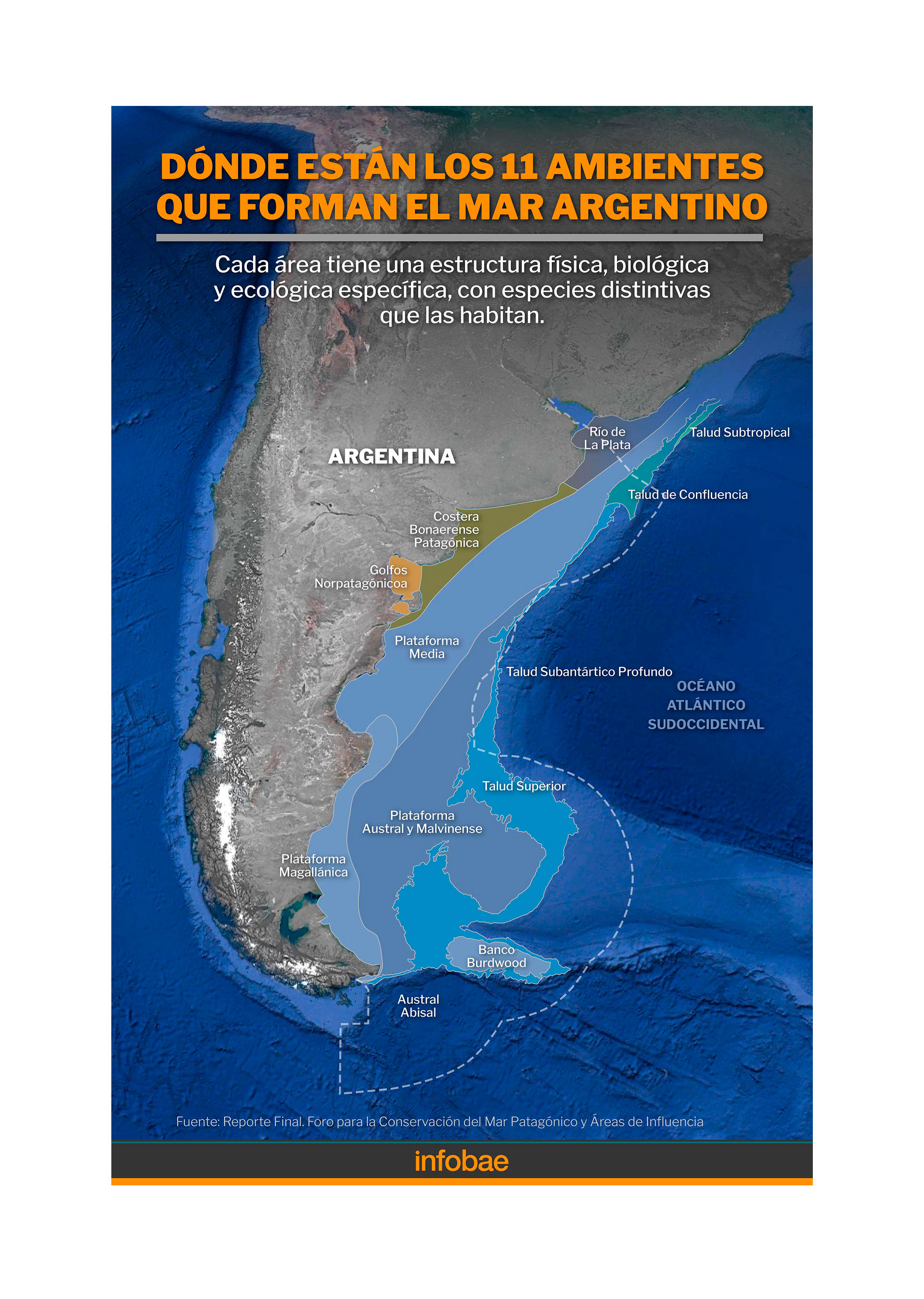 Al cruzar la información del mapa consensuado de biorregiones marinas de la Argentina con las áreas naturales protegidas, los expertos identificaron vacíos de representatividad en 8 de las 11 biorregiones/Archivo