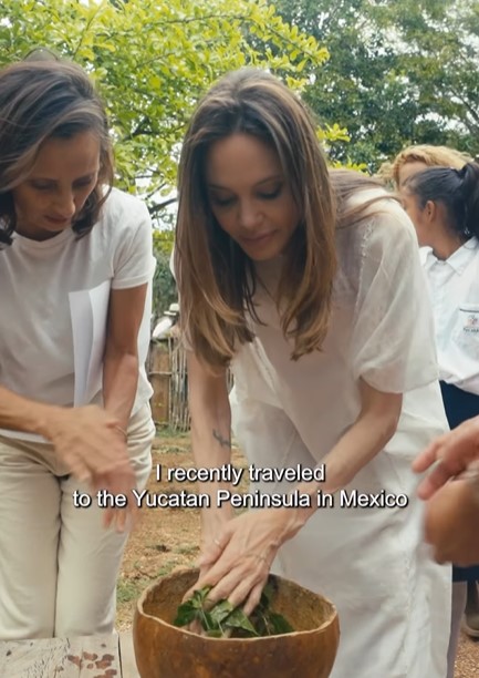 Angelina Jolie viajó a Yucatán y convivió con una comunidad de mujeres maya  que protegen a las abejas – NoticiasPV