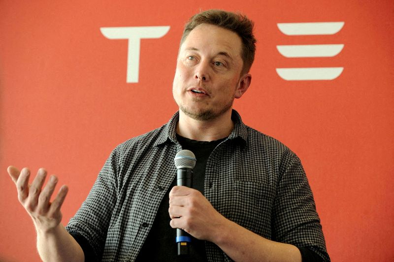 Tesla Motors founder and CEO Elon Musk (REUTERS/James Glover II/File)