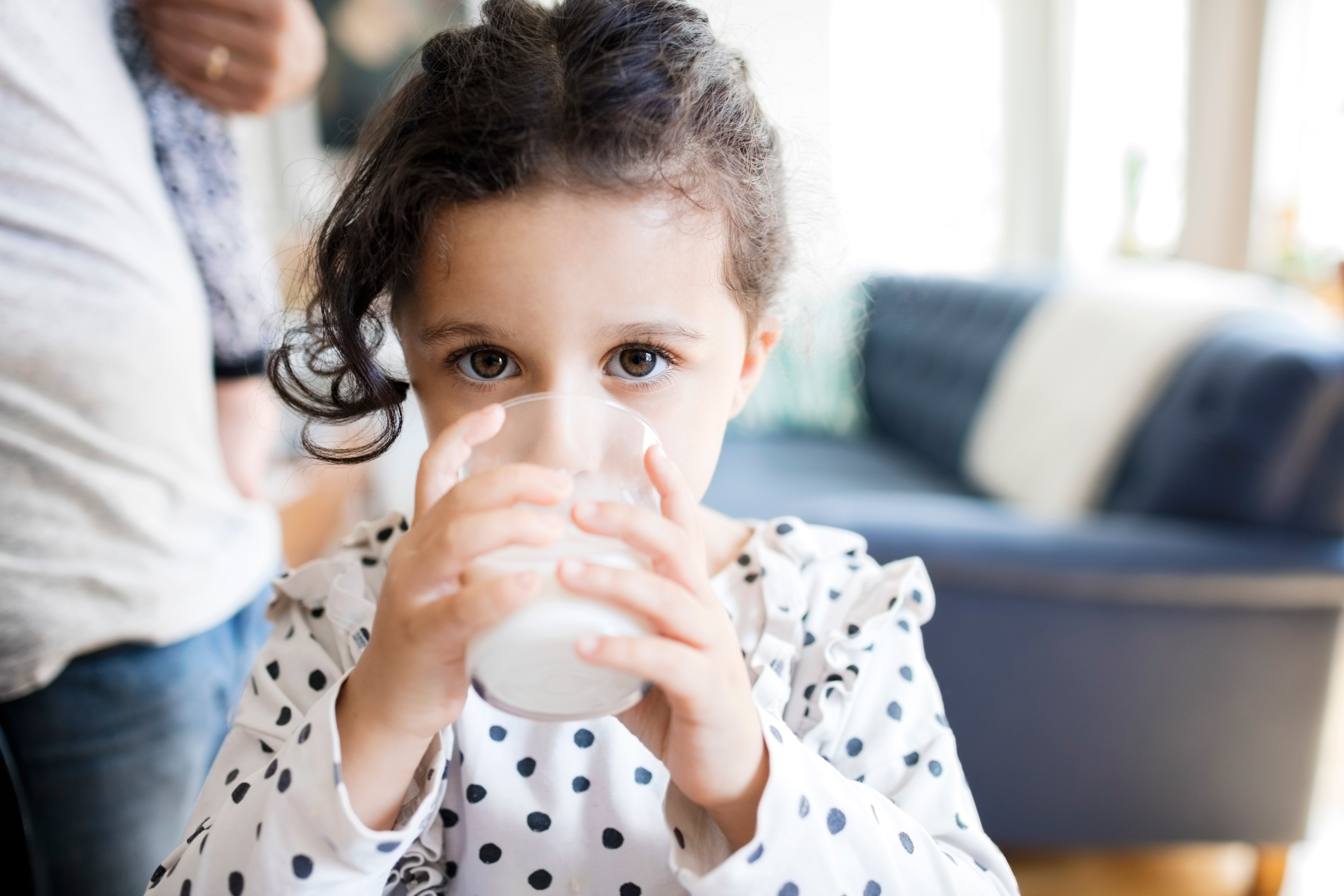 La institución mencionó que las leches saborizadas son más populares entre la población infantil
(Getty Images)