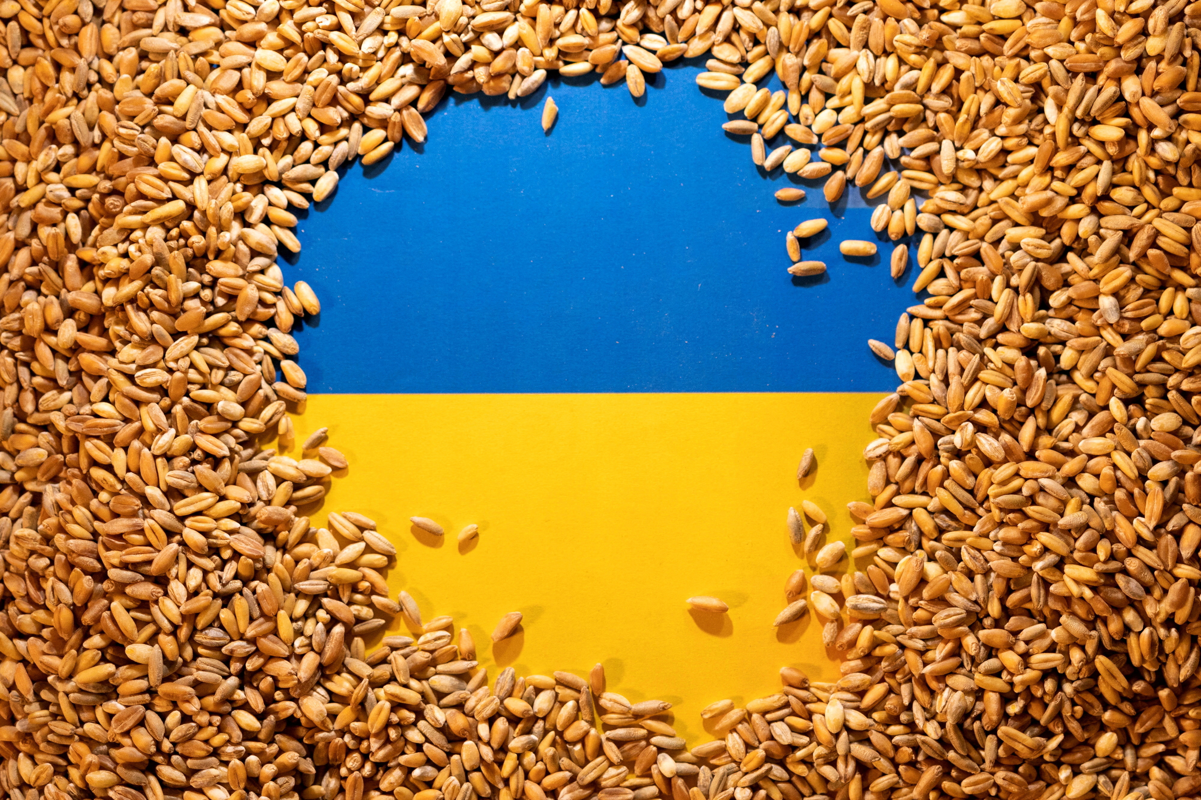 Personal técnico de Turquía, Rusia, Ucrania y Naciones Unidas se reunirá el viernes para discutir un acuerdo que permita las exportaciones de granos ucranianos en el Mar Negro (REUTERS/Dado Ruvic/Illustration/File Photo)