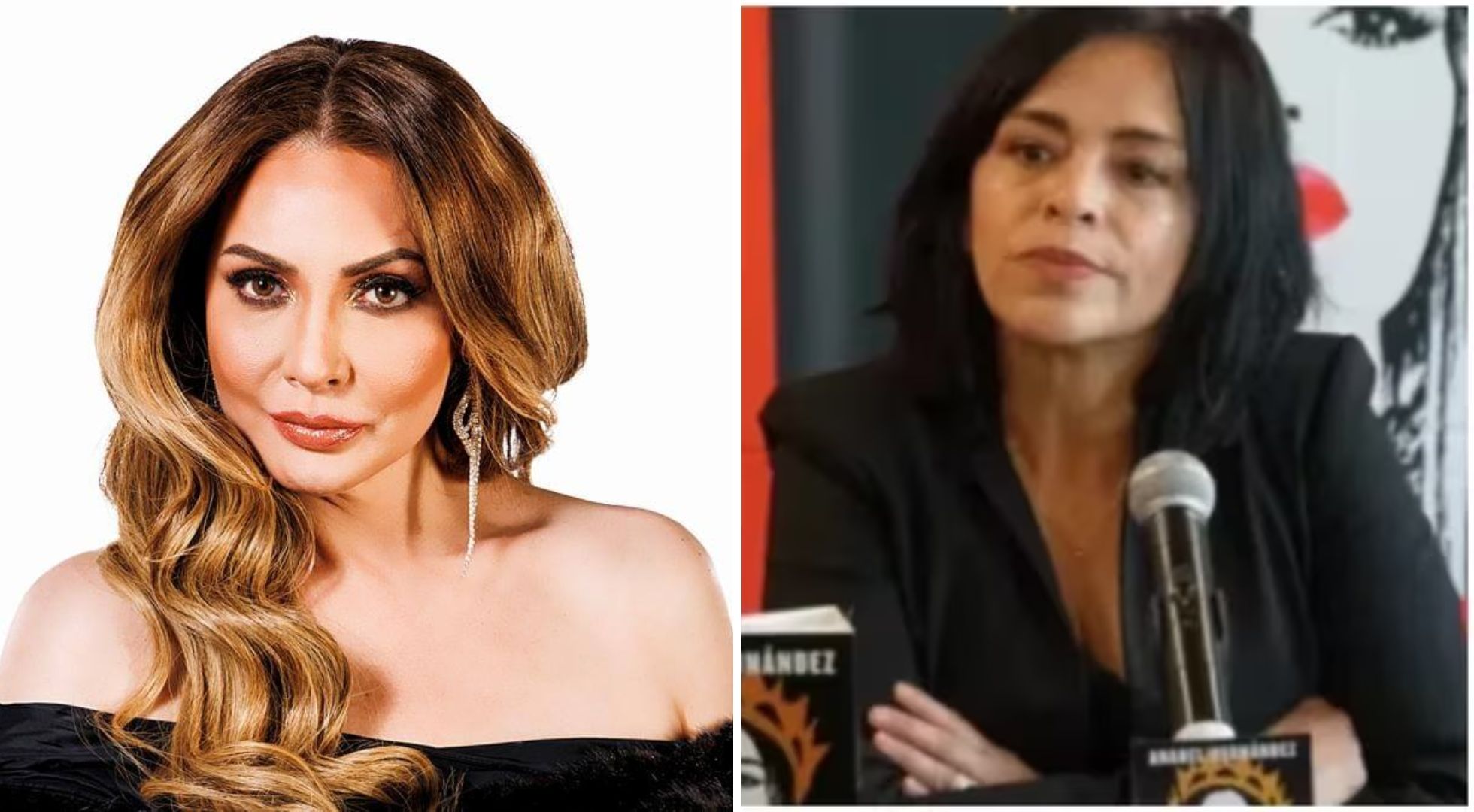 Paty Navidad reta a Anabel Hernández para que muestre pruebas de lo que la  acusa en su libro: “Se equivocó, es misógina” | VIDEO - Infobae