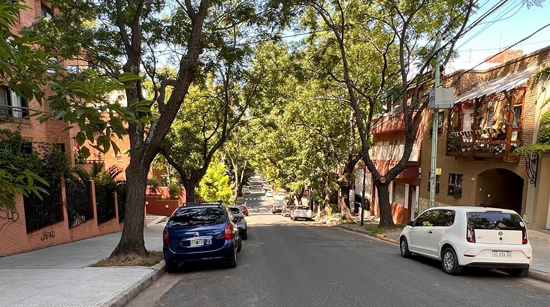 Un barrio residencial con gran presencia de casas (Foto Gentileza: Martín Pinus Real Estate)