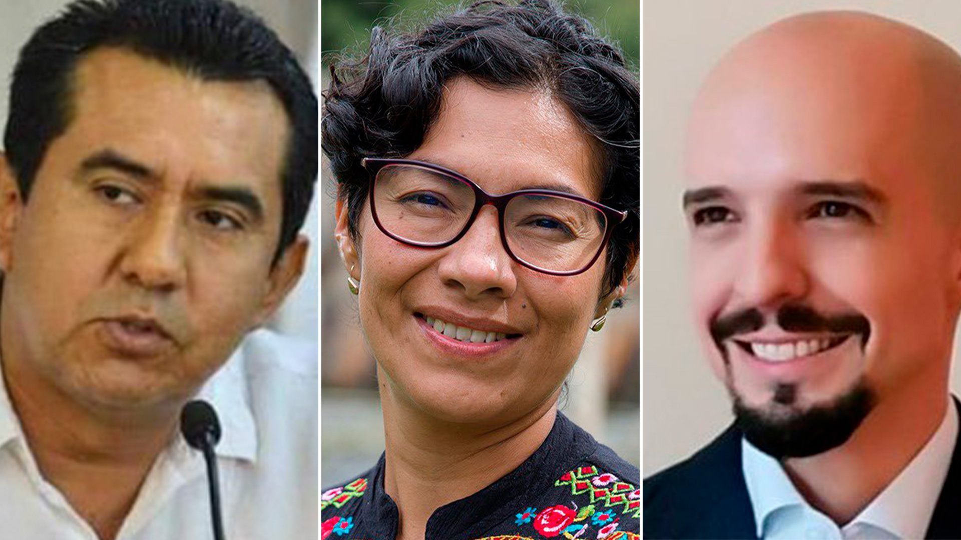 Quiénes son los nuevos consejeros del INE, además de Guadalupe Taddei Zavala