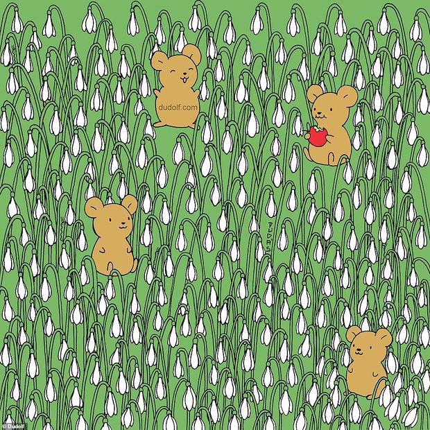 Aquí te presentamos la ilustración de las cuatro orugas escondidas que debes localizar en el campo de campanillas de invierno. | Crédito: Dudolf / dailymail.co.uk.