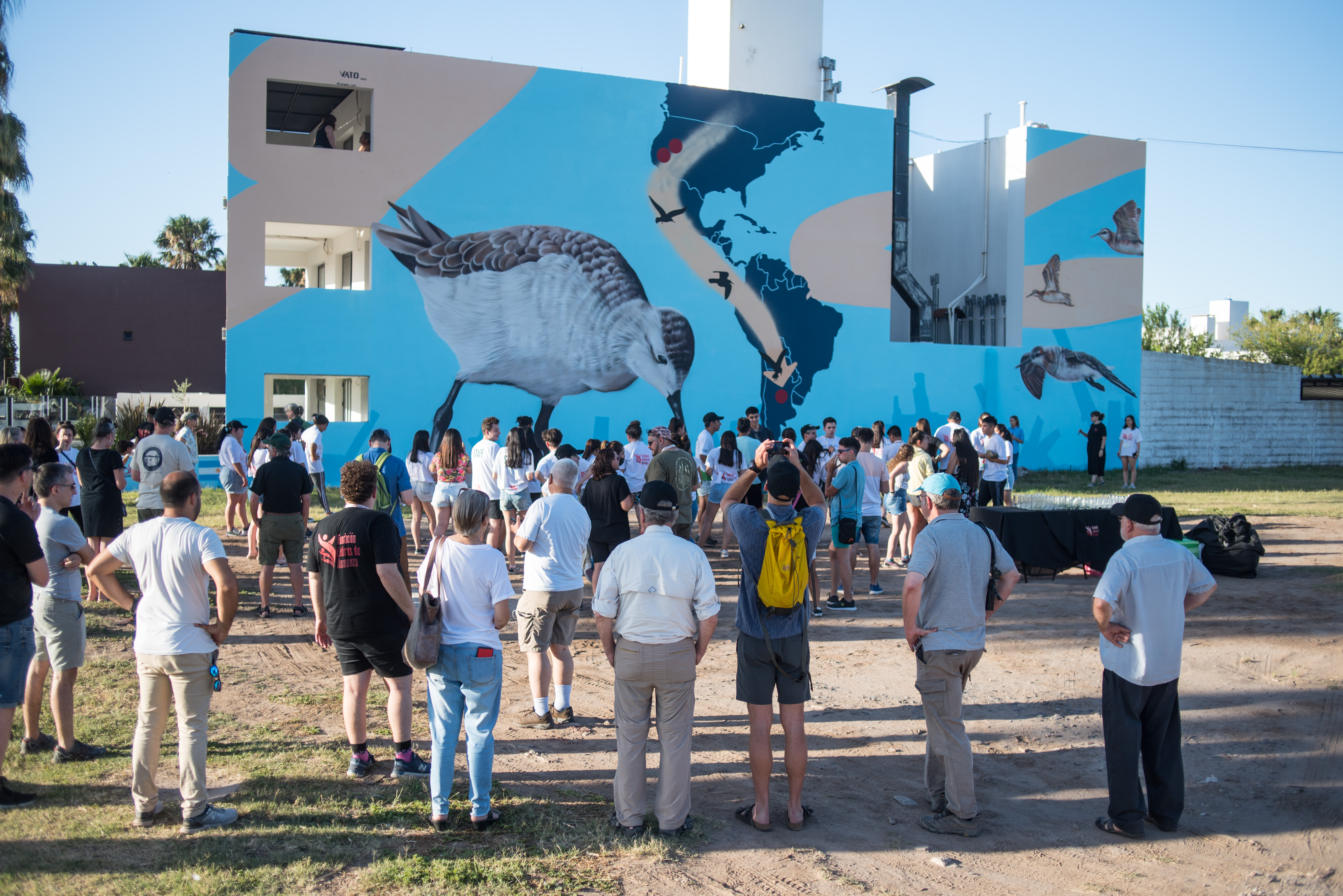 En diciembre pasado, se inauguró un mural dedicado a los falaropos en Córdoba. Se hizo un acto de hermanamiento entre personas que habitan cerca  la Laguna de Mar Chiquita, en Córdoba, y lagos salados de Estados Unidos/Archivo
