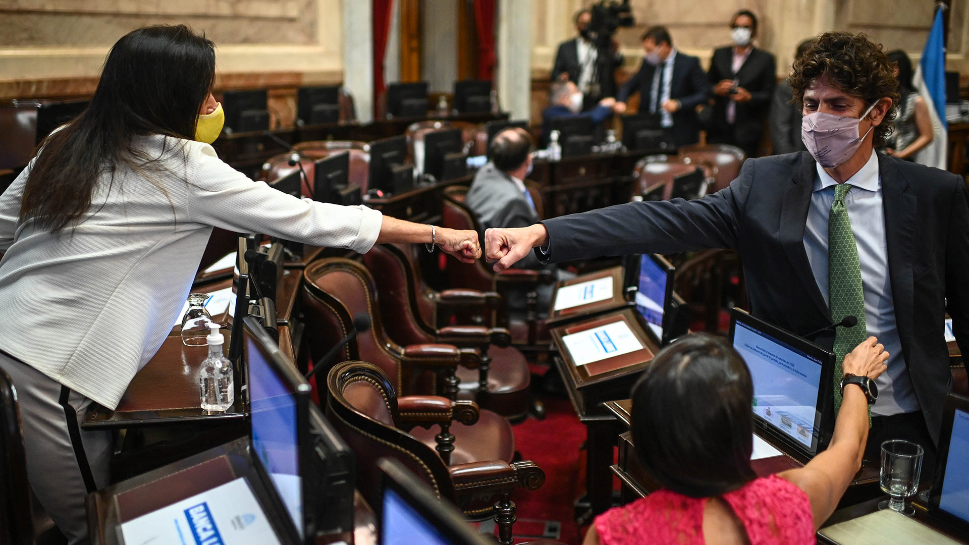 Laura Rodríguez Machado guardó silencio las últimas semanas y Martín Lousteau buscó convencer a senadores indecisos (Prensa Senado)
