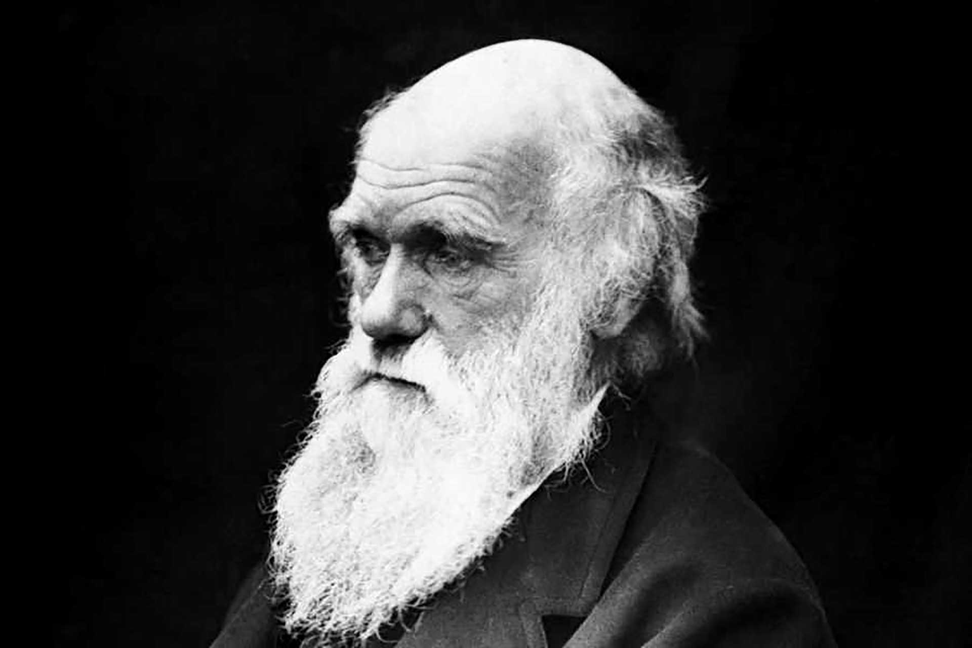 Charles Darwin, aún anciano, recordaba con nostalgia aquel viaje en el Beagle. 