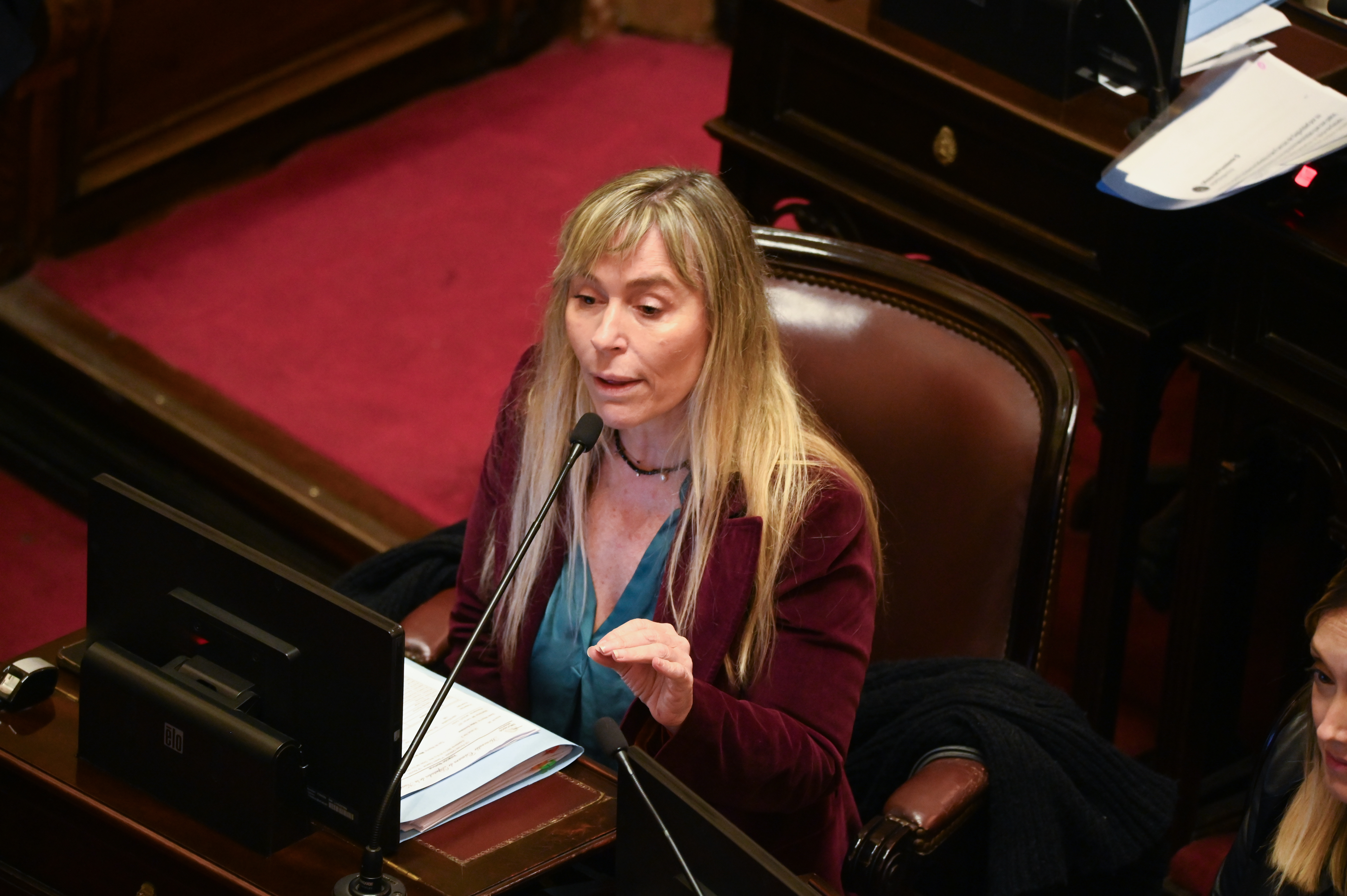 El peronismo se reagrupa para alinear una estrategia y evitar m&aacute;s votaciones divididas en el Senado