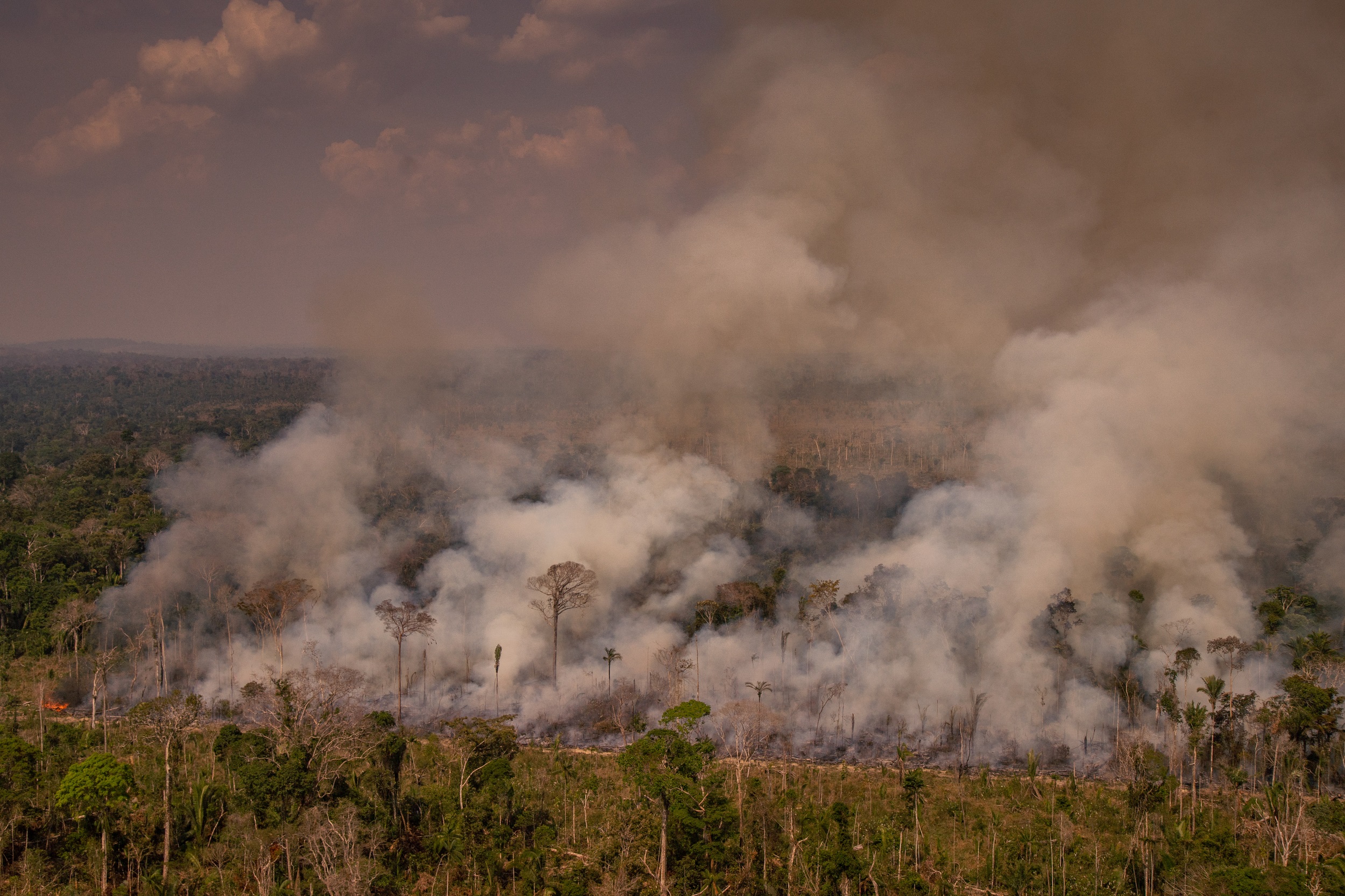 Brasil fue muy criticado por la comunidad internacional por los intensos incendios en la Amazonía en 2019 (CHRISTIAN BRAGA / GREENPEACE / CHRISTIAN BRAGA)
