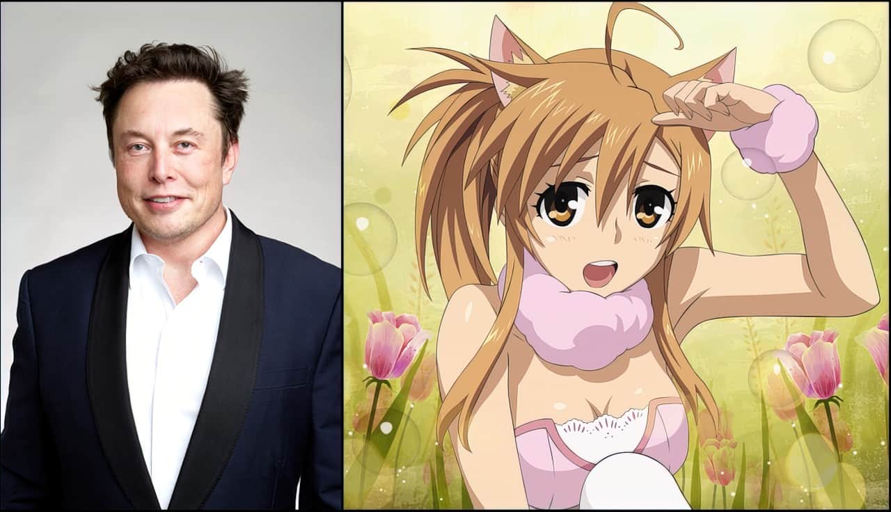 Elon musk catgirl