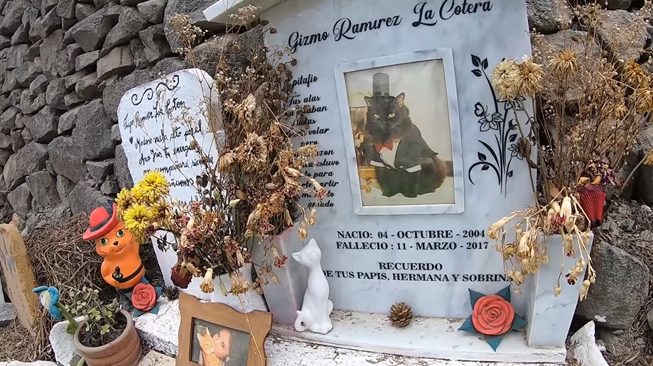 El Bosque del amigo fiel, un cementerio de mascotas en Lima que resguarda  sus huellas eternas - Infobae