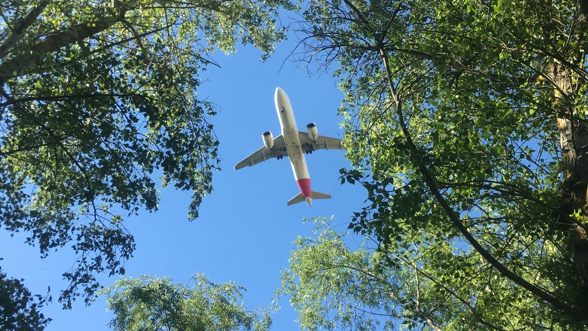 Cuidado Del Medioambiente Cuál Es La Aerolínea Que Permite A Los Pasajeros Compensar La Huella 7943