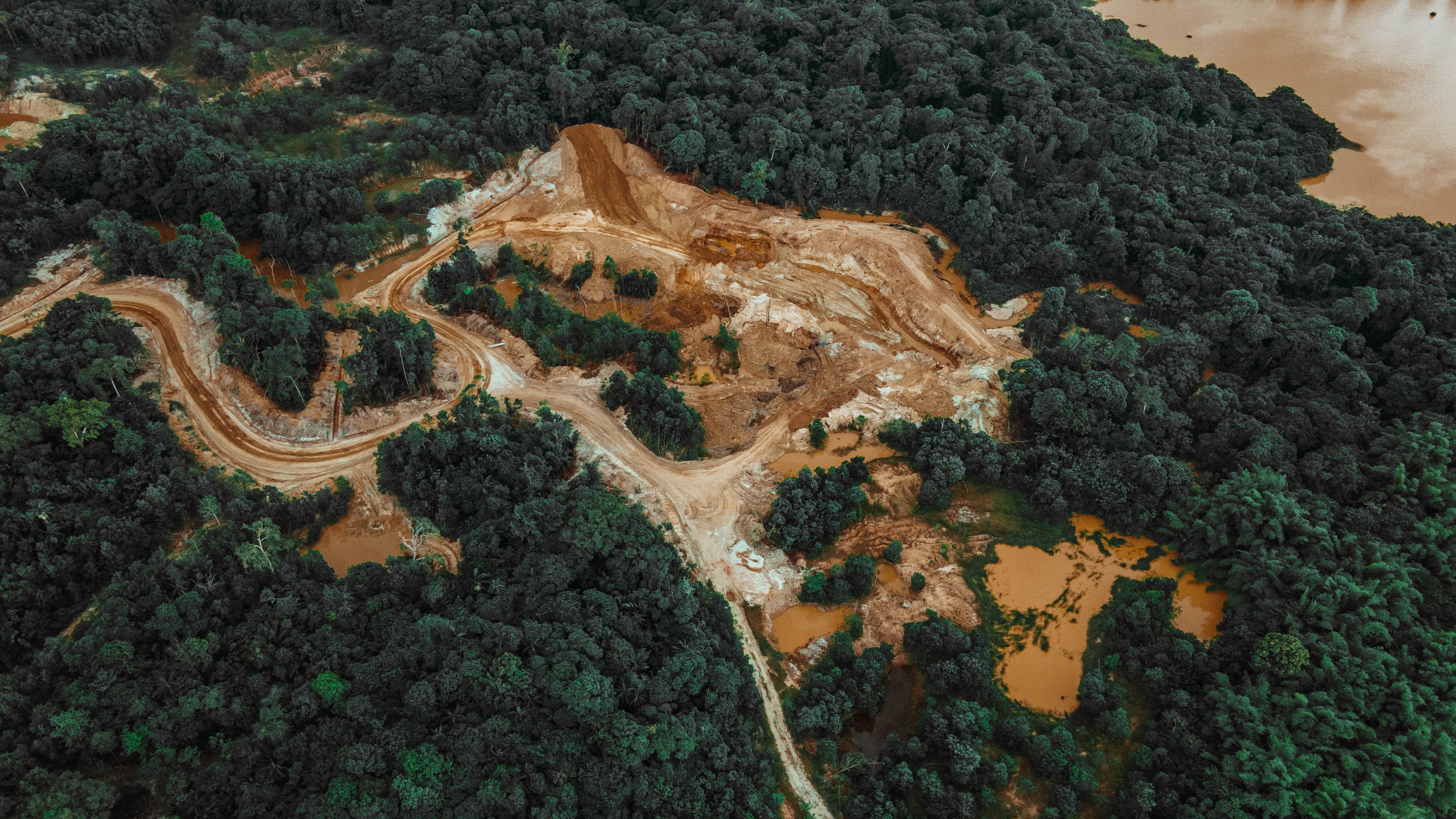 PrevisAI, predice con inteligencia artificial los sitios de deforestación en la Amazonía