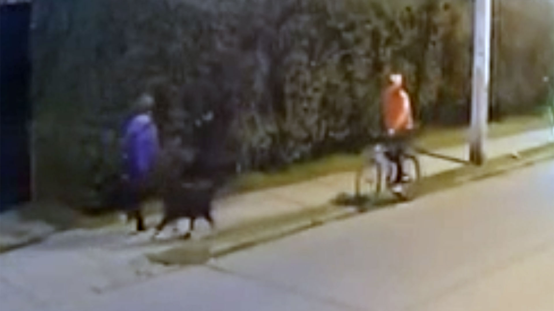 Vecinos denunciaron que un ladrón entrenó a su perro para que lo ayude a robar