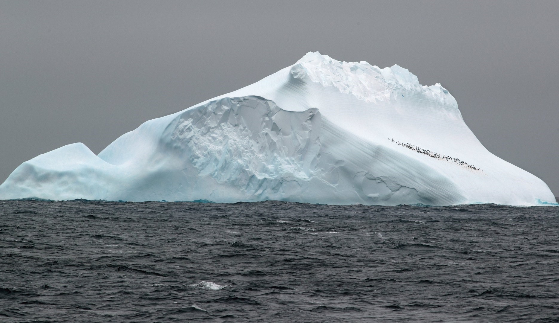El hielo marino antártico está en un mínimo histórico y los científicos se preocupan por ese retroceso (UNI BONN/ MICHAEL WEBER)
