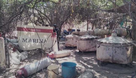Semar desmanteló ocho laboratorios de drogas sintéticas en Sinaloa y plantíos de amapola en Nayarit