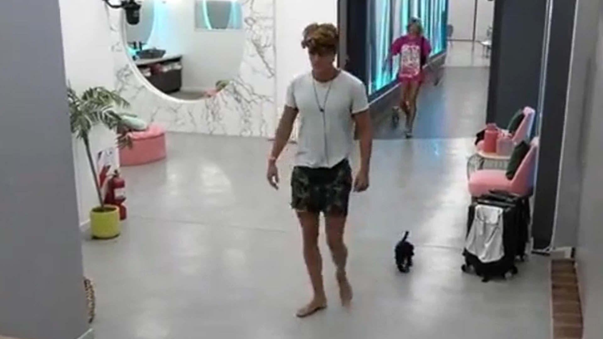 Gran Hermano 2022: Los perritos ya eligieron a Marcos como su único dueño (Foto: Captura Gran Hermano 2022, Telefe)