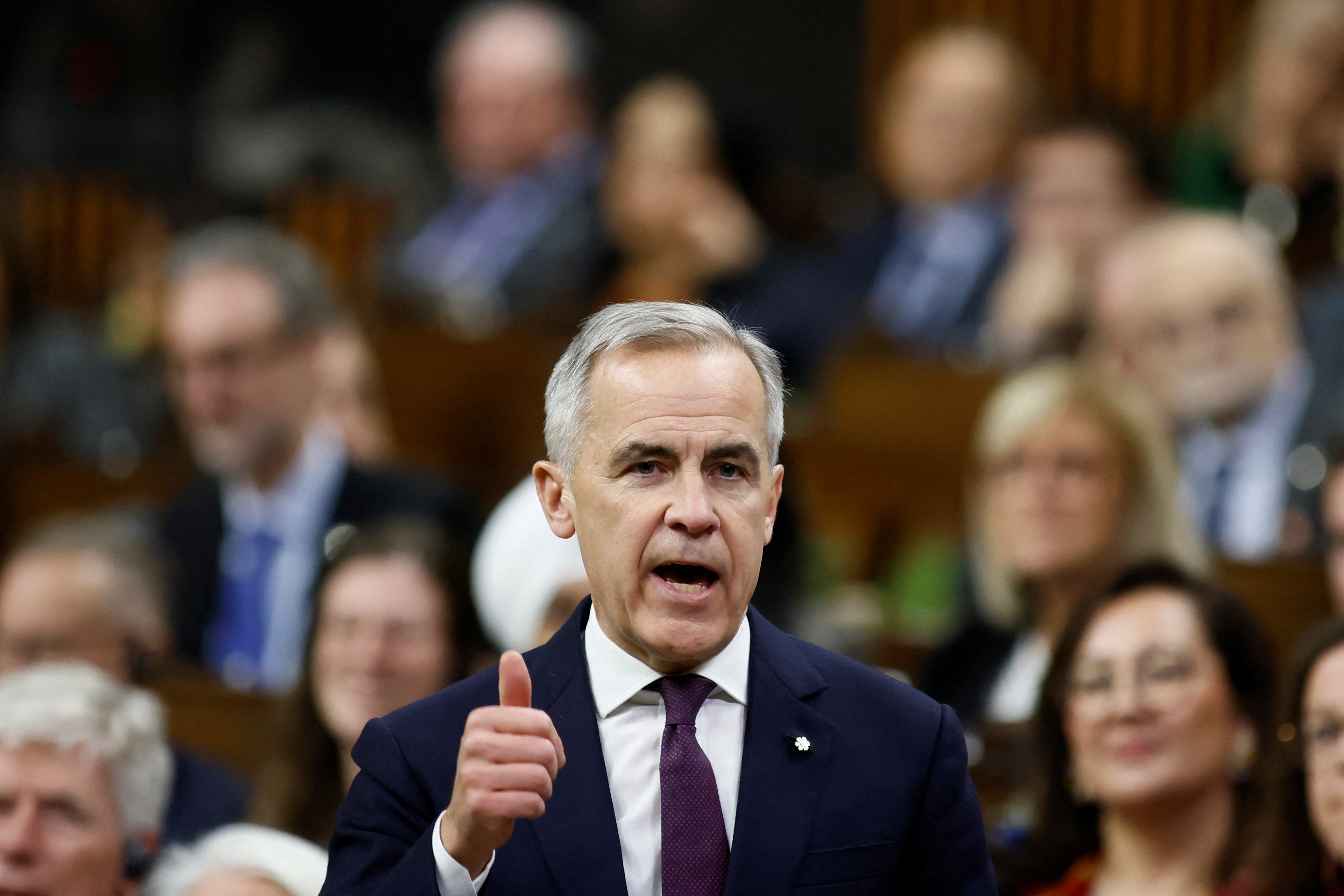 La crítica a Colapinto de un campeón de la F1 por su continuidad en Alpine y la feroz respuesta de los fanáticos