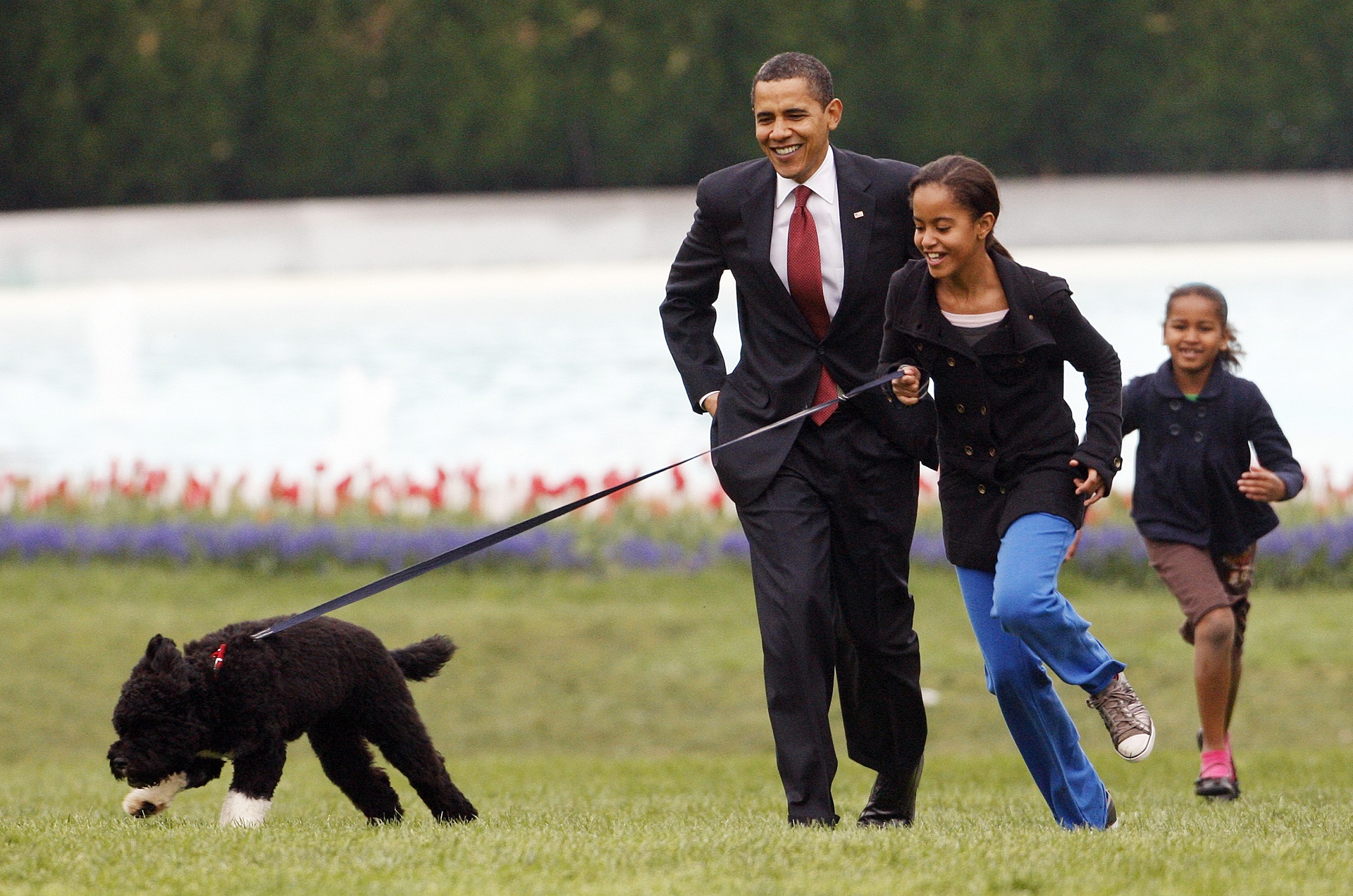 La sociedad estadounidense conoció a Bo cuando era un cachorro y vio cómo crecía junto a las hijas de la familia Obama (AP)