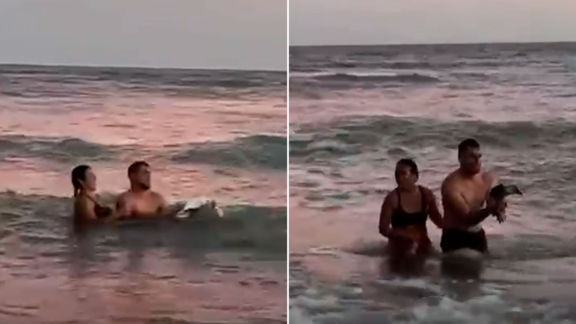 Mercado Libre tuvo ingresos por USD 28.900 millones en 2025 pero la acción cae más de 5%: el motivo detrás de la baja