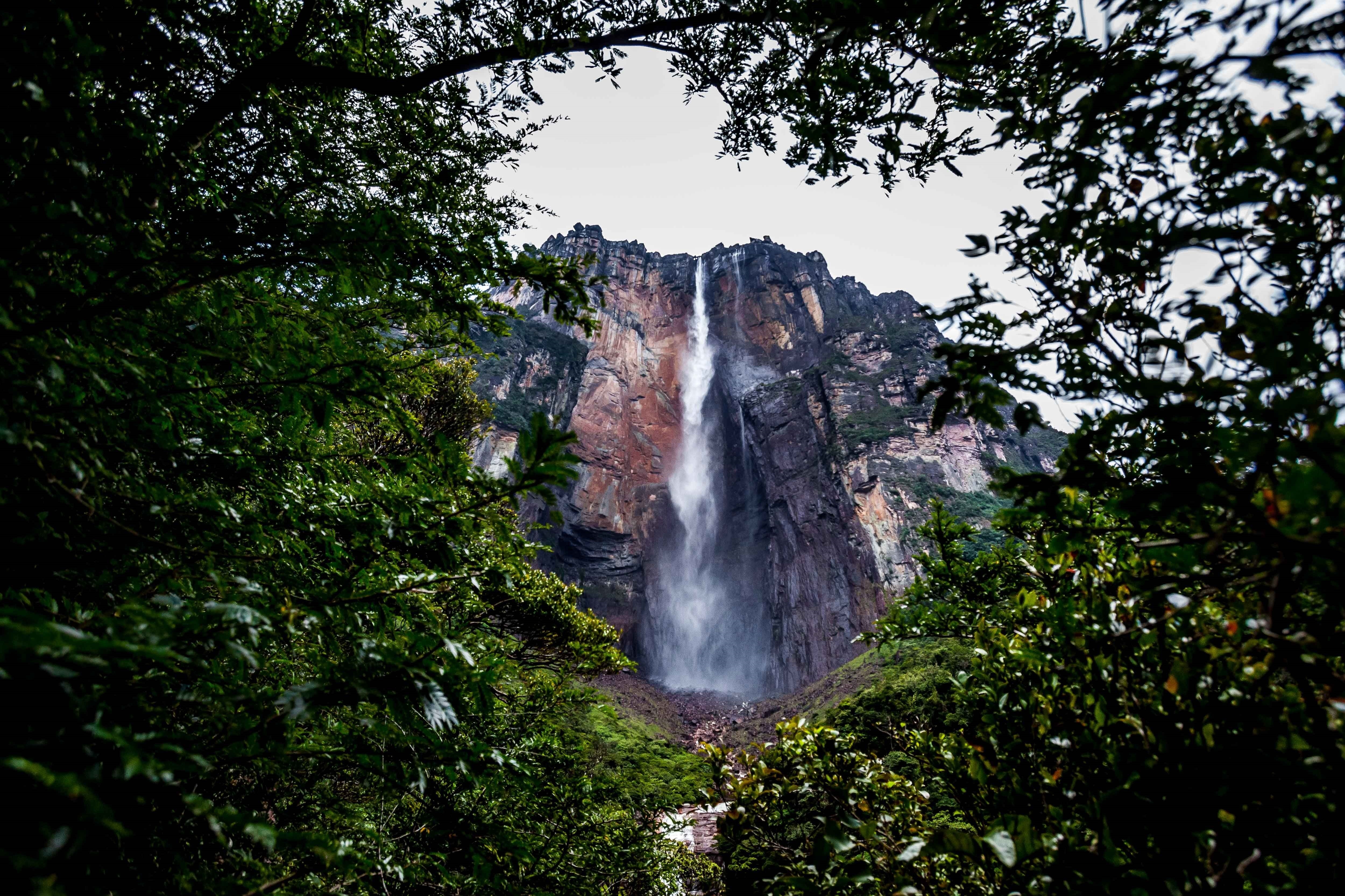 El Salto Ángel, ubicado en el Parque Nacional Canaima, es la cascada más alta del mundo (EFE/ Miguel Gutiérrez)
