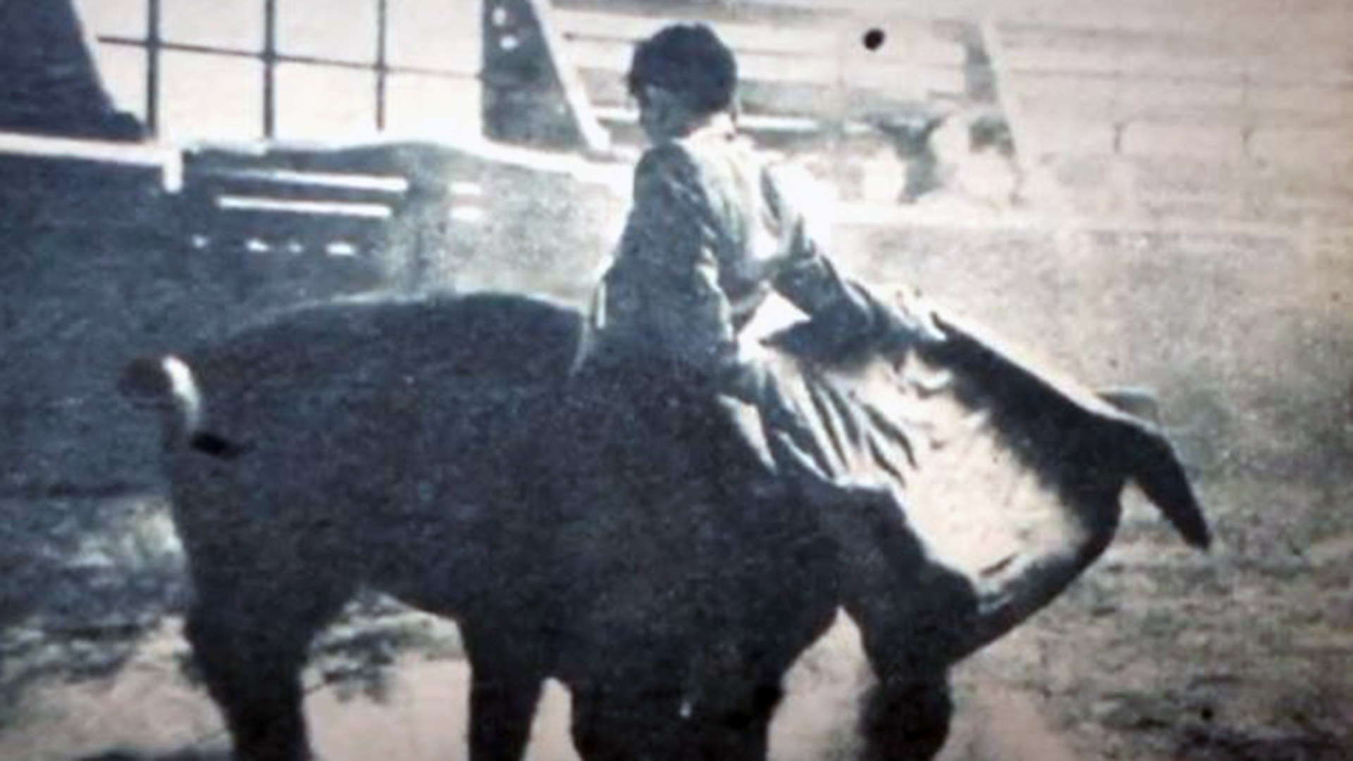 Corrida de toros en la Plaza de Rafael Castillo