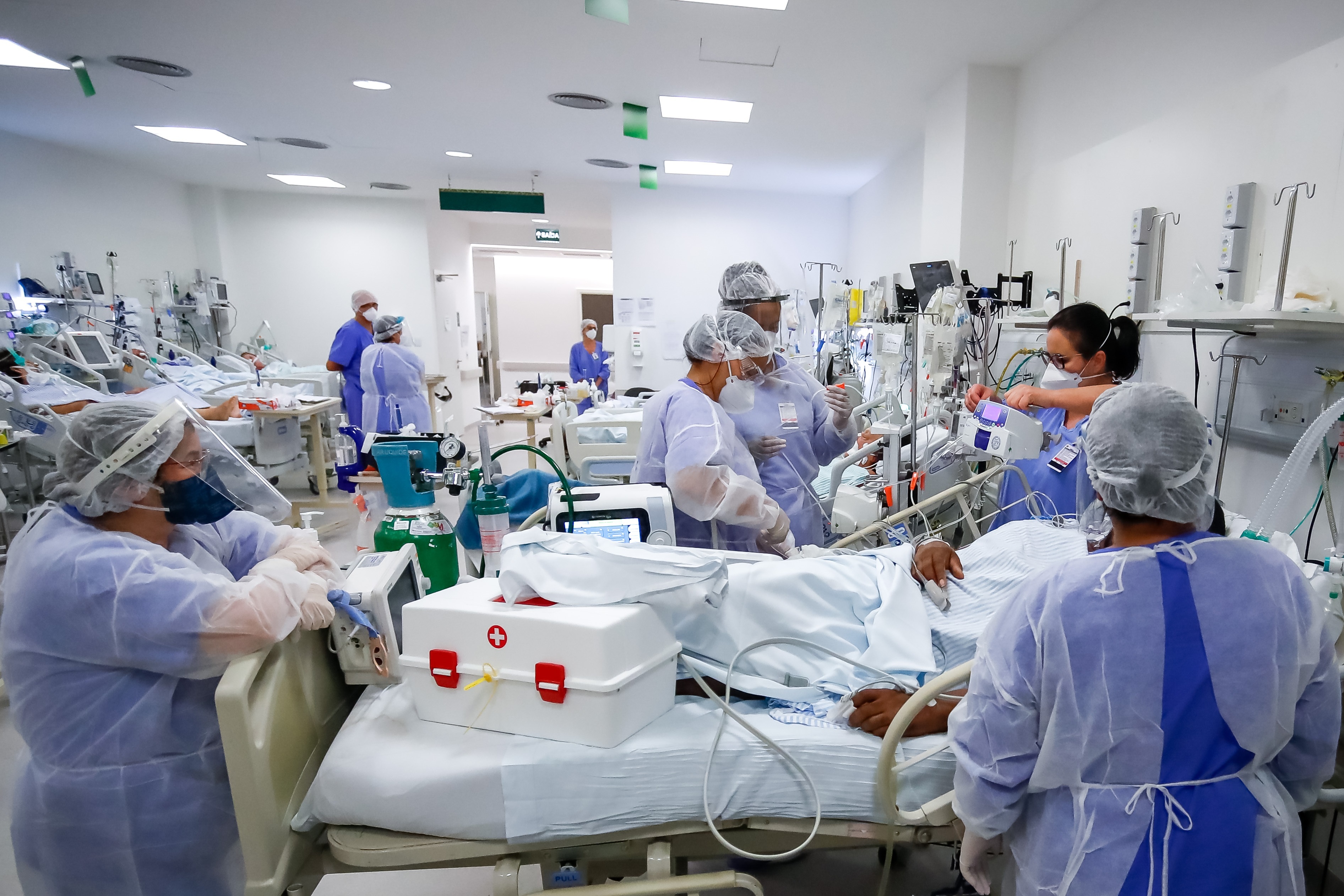 Ya hubo casos de pacientes con Candida auris en Brasil, Chile, Perú y Colombia, entre otros países de América Latina (EFE/Marcelo Oliveira)
