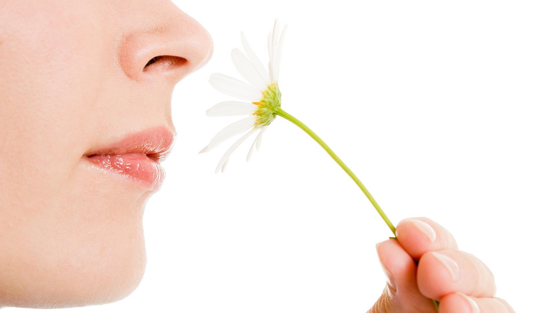 La parosmia, es la alteración de los olores en su percepción. El olfato aporta 80% del sabor (Shutterstock)