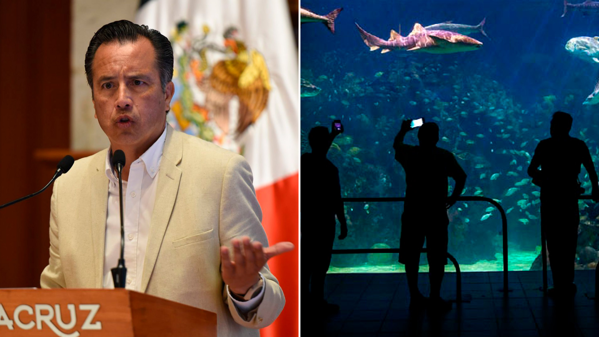 Cuitláhuac García destapó algunas de las irregularidades que llevaron a la clausura del Acuario de Veracruz. 

Foto: Getty Images
Foto: Acuario de Veracruz