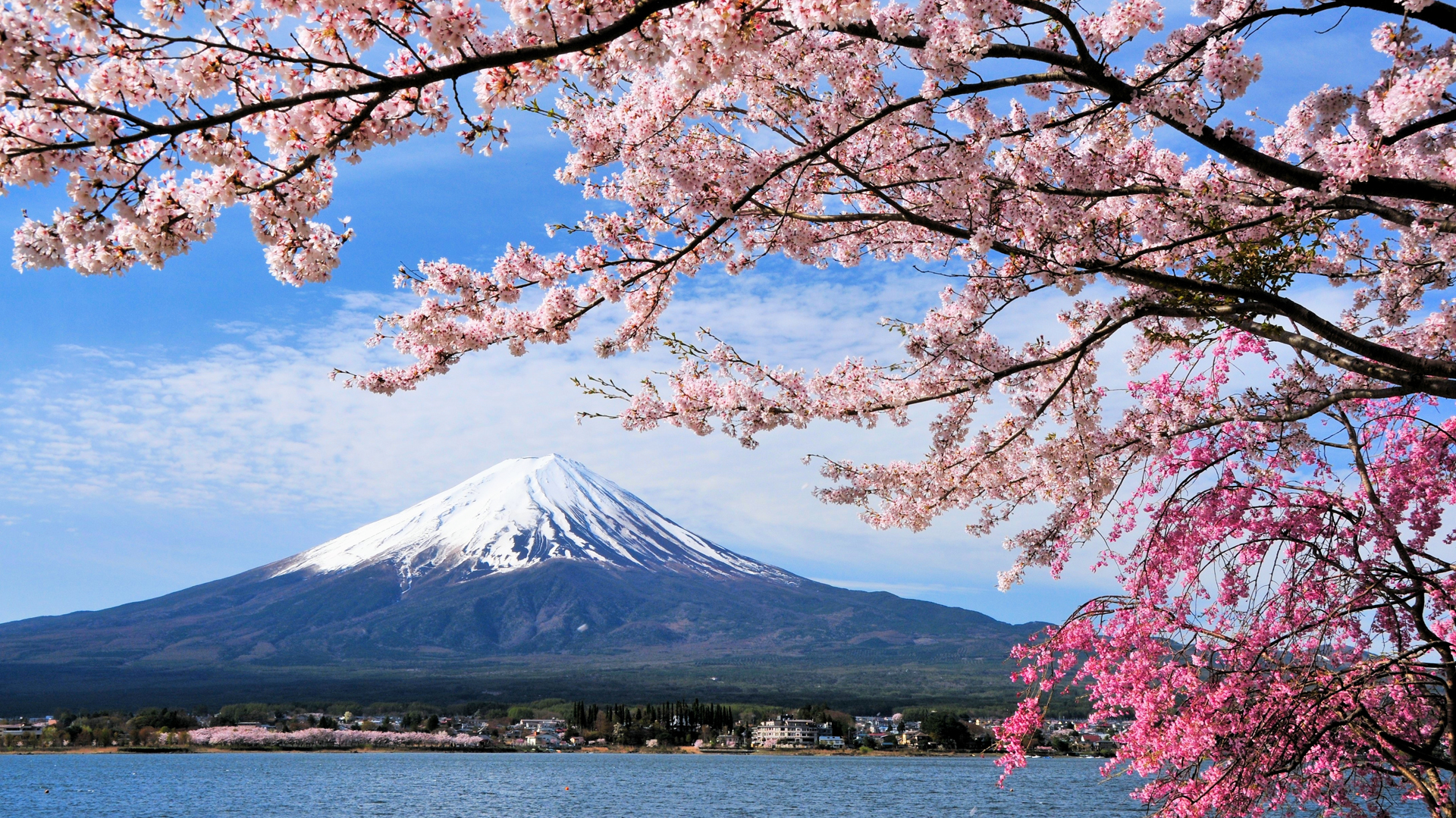 Un bloque de apartamentos de Tokio será demolido por ocultar la vista del monte Fuji