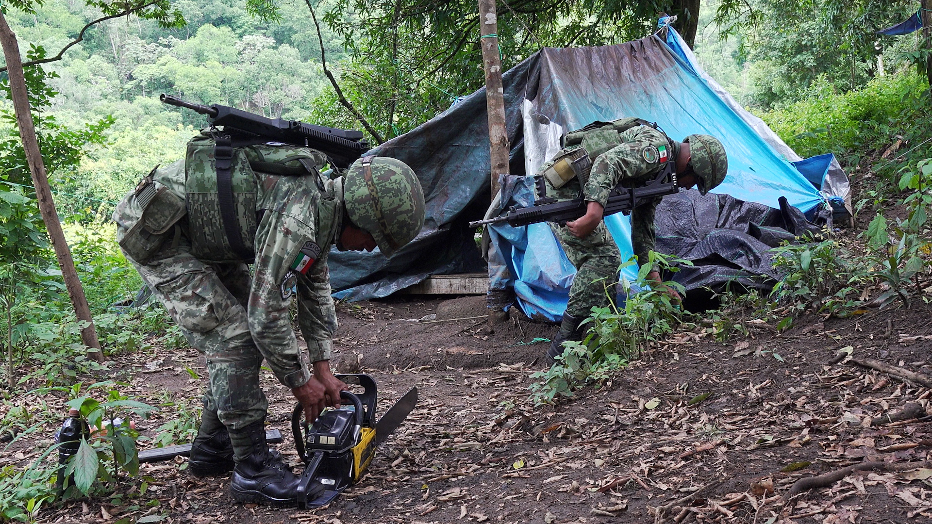 Los militares comenzaron a desmontar el plantío de coca (Foto: Paul Miranda)