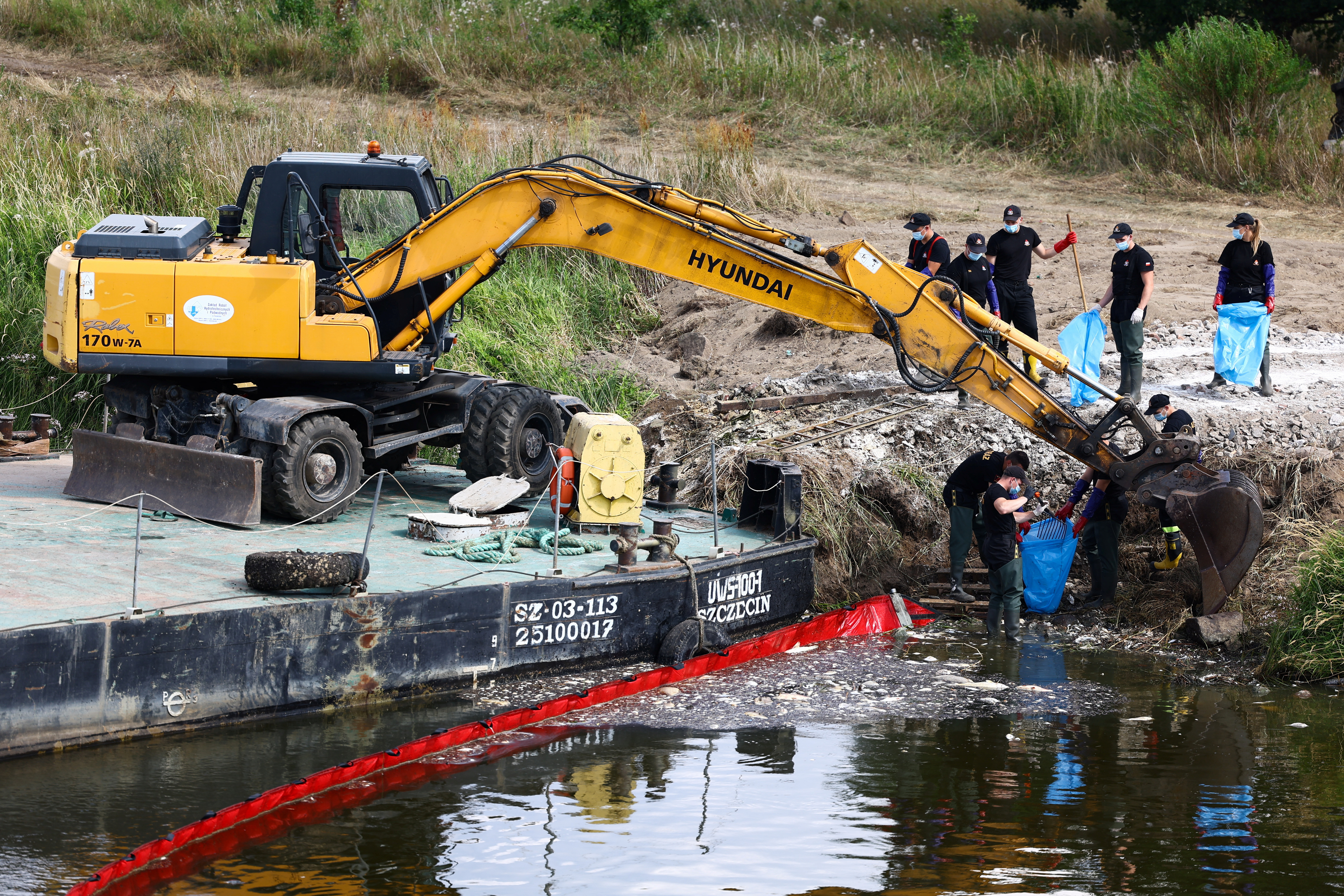 Centenares de voluntarios trabajan en distintos puntos en la recogida de cadáveres de los peces (REUTERS/Lisi Niesner)