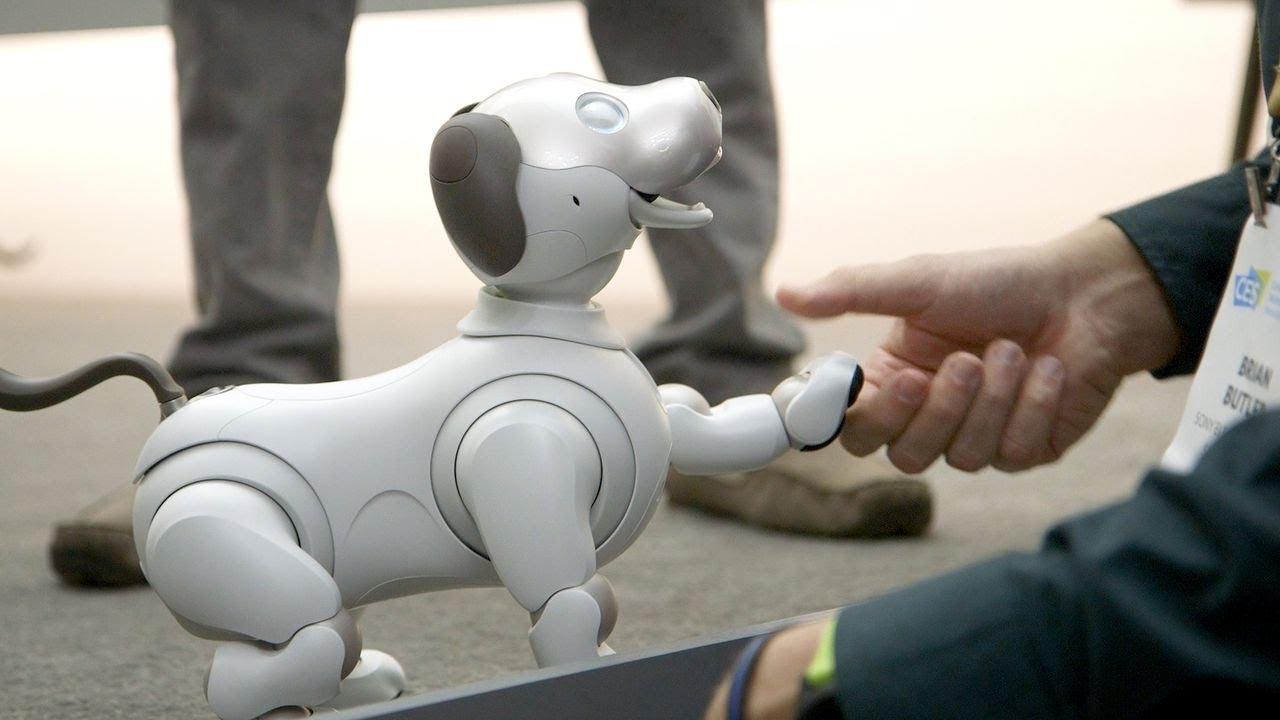 Estos son los perros robot que acompañarán a los humanos próximamente 