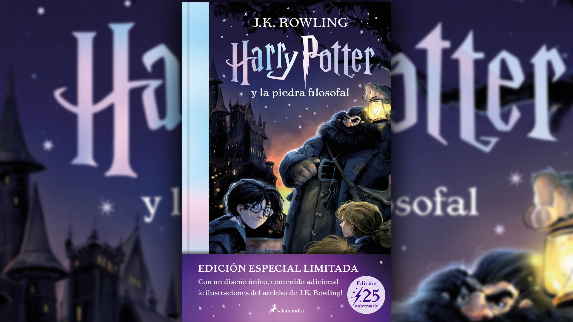 Libros Harry Potter Edicion Especial